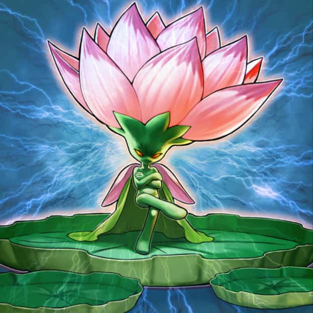 Samsara Lotus card artwork