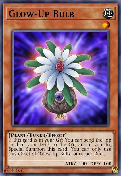 Glow-Up Bulb