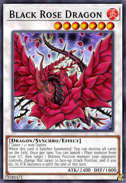Black Rose Dragon